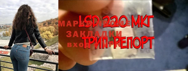 ГАЛЛЮЦИНОГЕННЫЕ ГРИБЫ Волосово