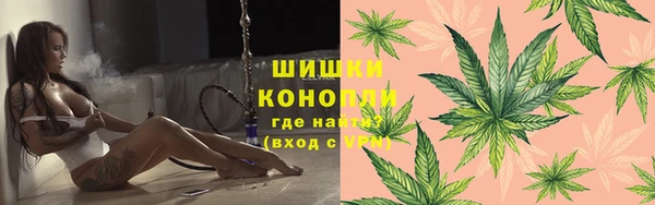 ГАЛЛЮЦИНОГЕННЫЕ ГРИБЫ Волосово