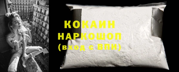 твердый Козельск