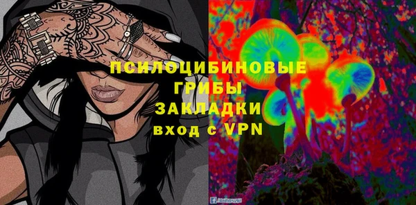 ГАЛЛЮЦИНОГЕННЫЕ ГРИБЫ Волосово