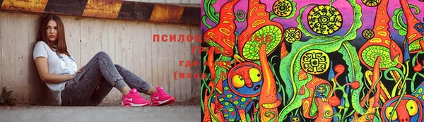 прущая мука Козловка