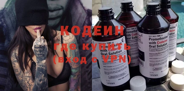 твердый Козельск