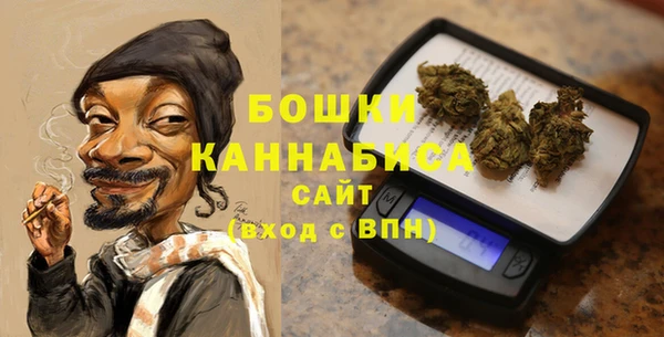 твердый Козельск