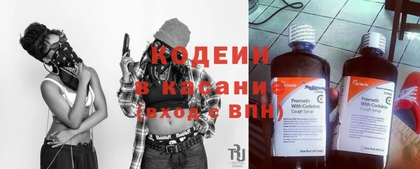 твердый Козельск