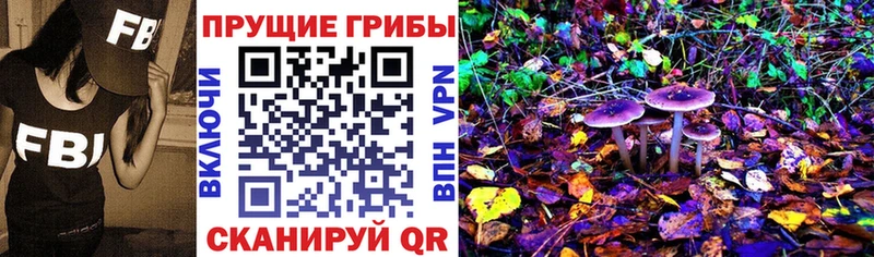 Галлюциногенные грибы ЛСД дарк нет телеграм Мелеуз