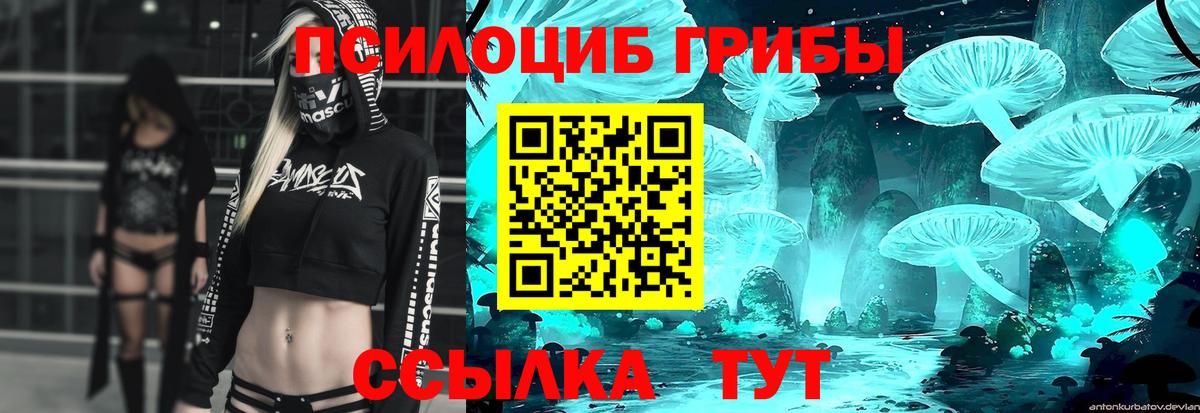 Галлюциногенные грибы мицелий  Мелеуз 