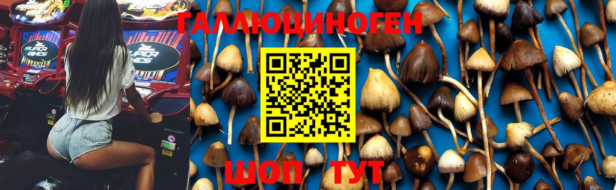 Псилоцибиновые грибы MAGIC MUSHROOMS Мелеуз