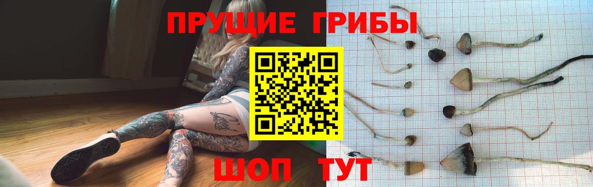 Мелеуз  Псилоцибиновые грибы Psilocybe  Галлюциногенные грибы MAGIC MUSHROOMS  Вход с VPN 