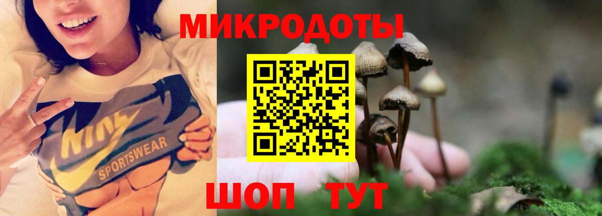 Галлюциногенные грибы GOLDEN TEACHER Мелеуз